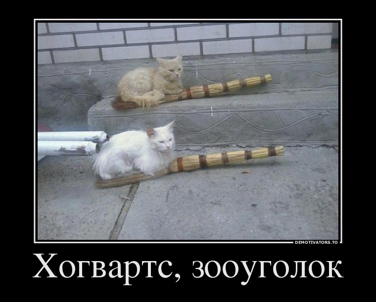 89663298 hogvarts-zoougolok