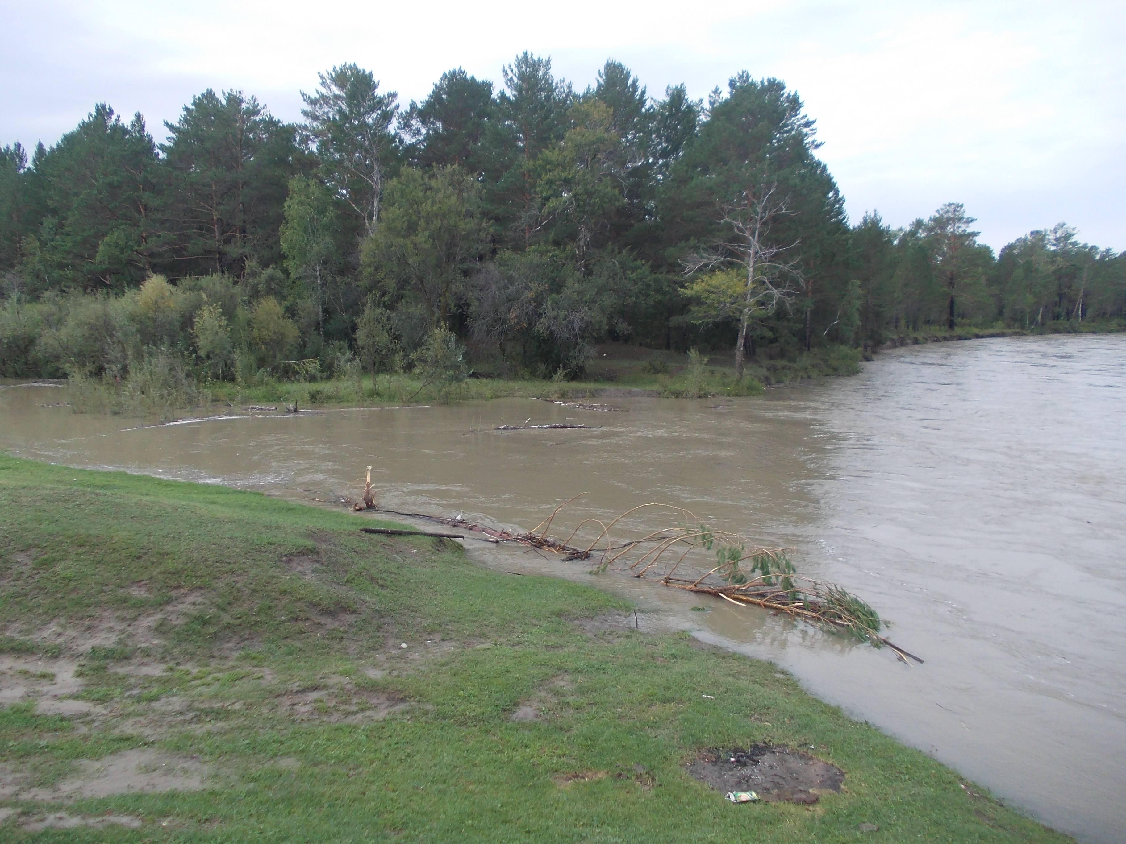 Природа разбушевалась. Чебогоры 17.08.2015