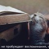 Пробуждение воспоминаний