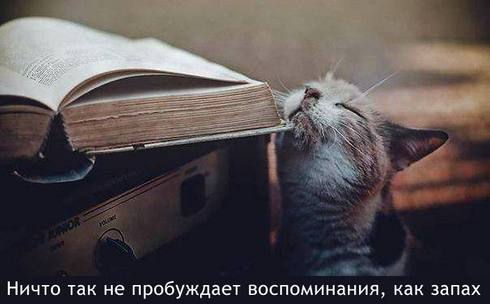 Пробуждение воспоминаний