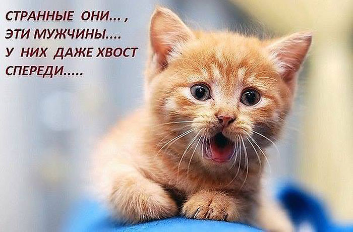 Странные мужчины