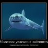 Увлечение дайвингом