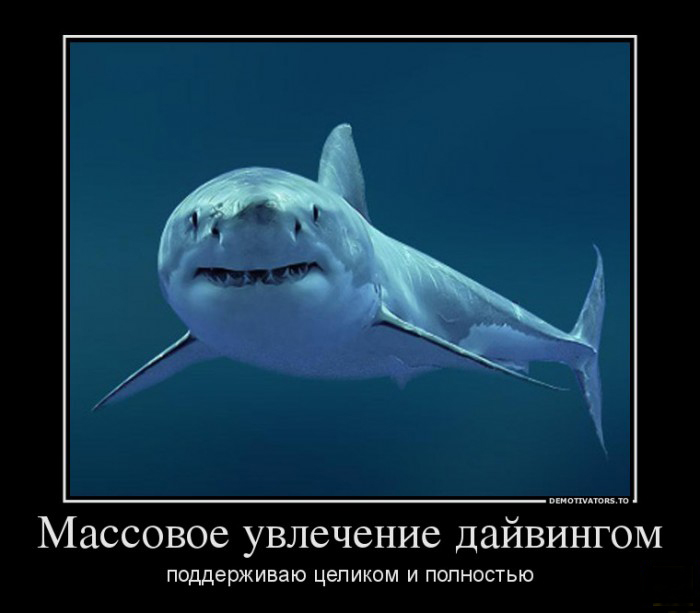 Увлечение дайвингом
