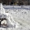 На дворе уже весна,где там бродит Колбаса?На лавке от грусти сник,да,это он,всё тот же зануда  Ник..