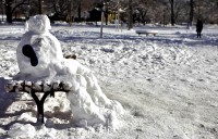 На дворе уже весна,где там бродит Колбаса?На лавке от грусти сник,да,это он,всё тот же зануда  Ник..