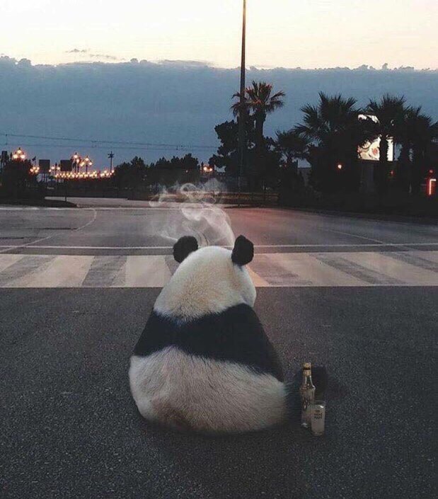 Пандо-пятничное фото...