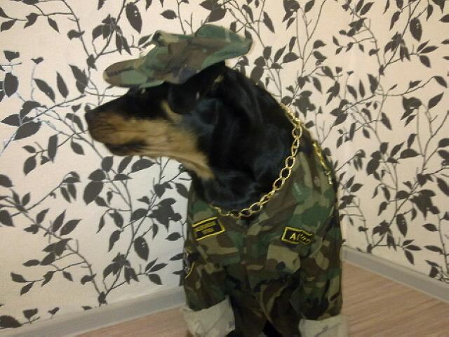 А может я воин грузин?