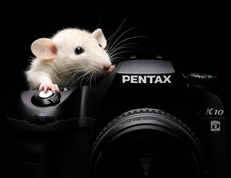 еще один мыш