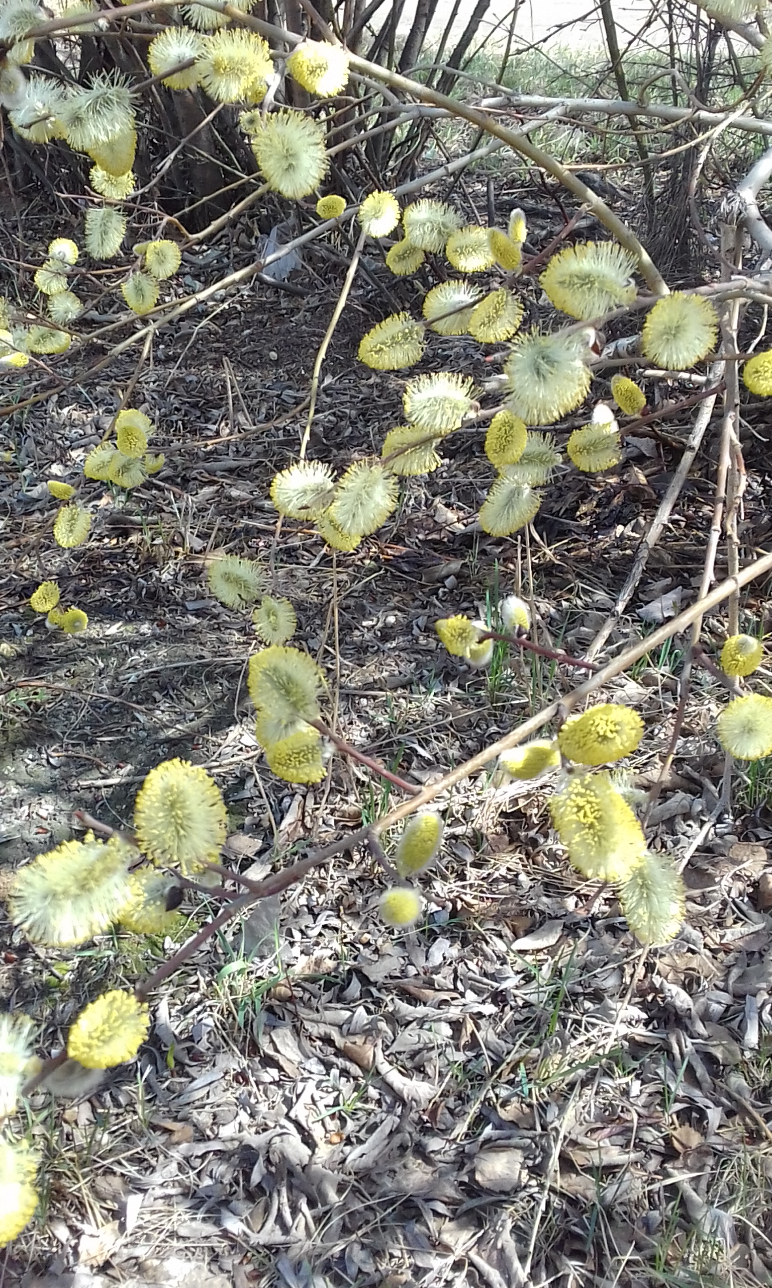 Потеплело ))