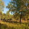 осень осень)))))