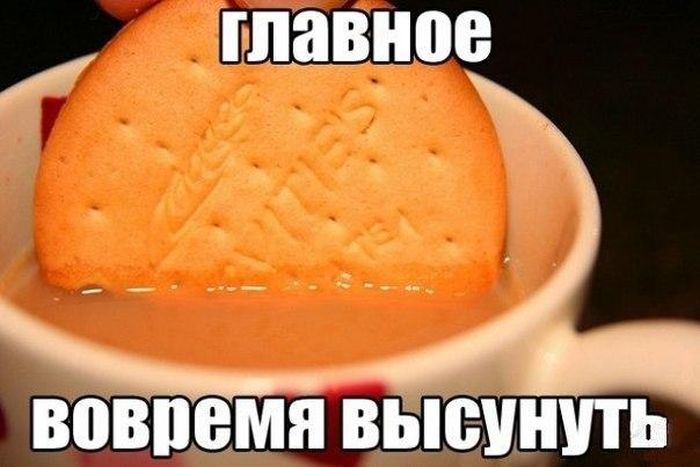 Главное-вовремя..
