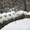 Лесные снеговички