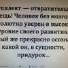 Интеллект
