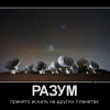 Разум Разум