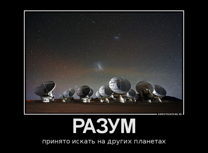 Разум