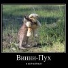 Винни-Пух...