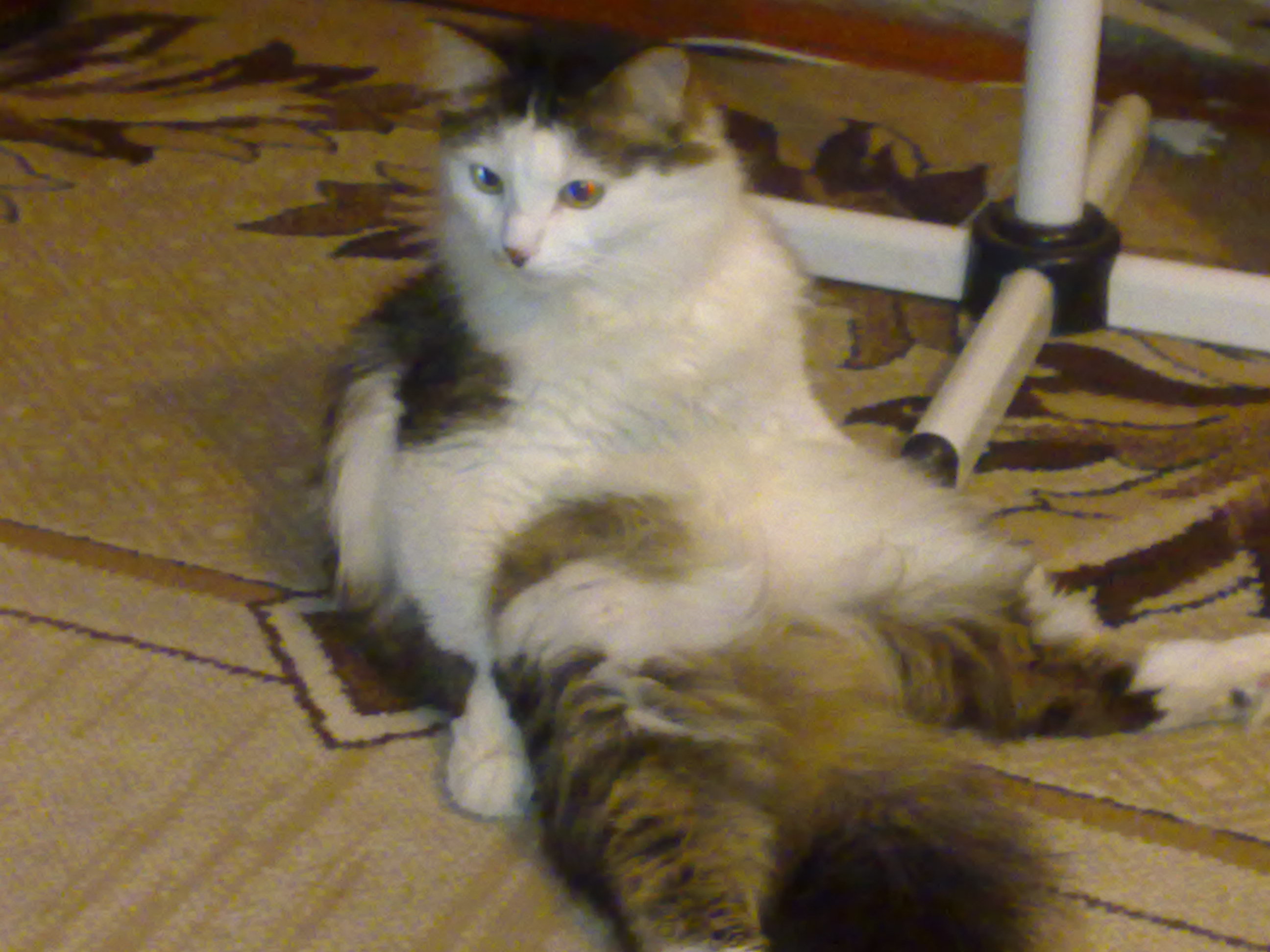 О чем я думаю? И думаю ли?