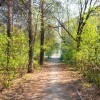 аллейка в 210м 20140518_170643