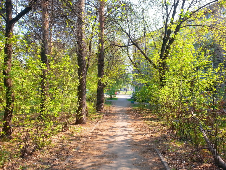 аллейка в 210м 20140518_170643