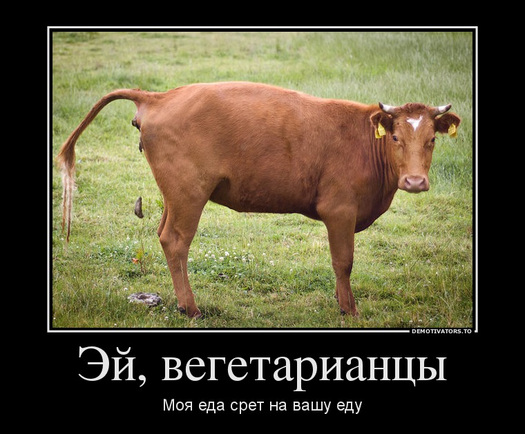 82518691 ej-vegetariantsyi