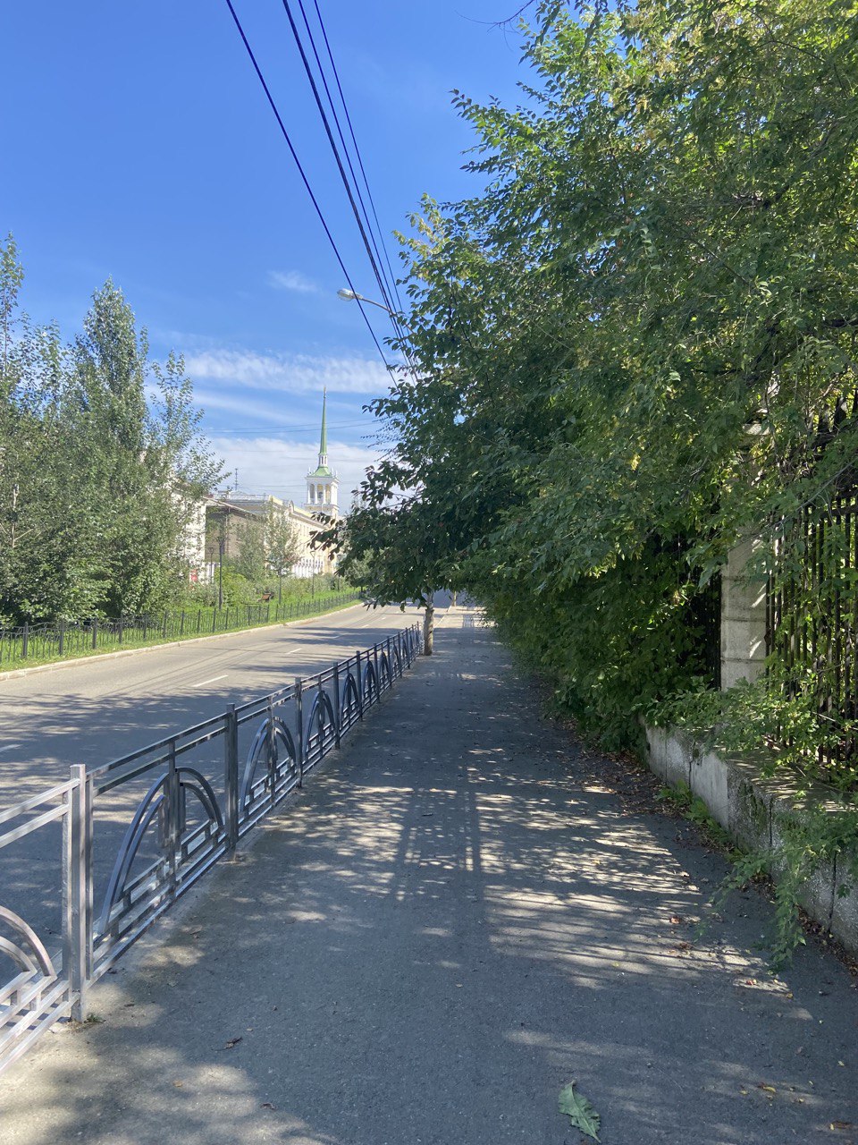 Джунгли побеждают…