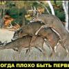 первый первый