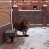 не бойтесь))))))