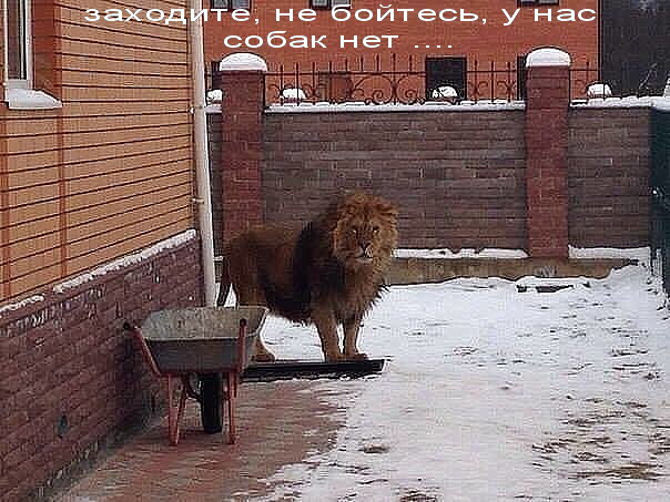 не бойтесь))))))