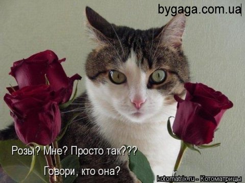 Просто так! ..