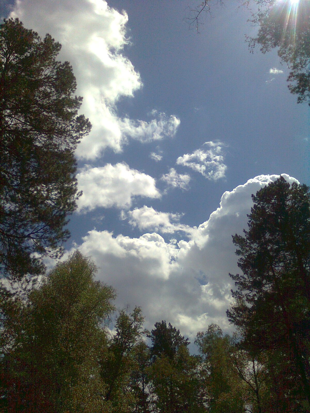 Аблака для Сиреги 