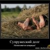 Супружеский долг