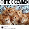 Семейное фото Семейное фото