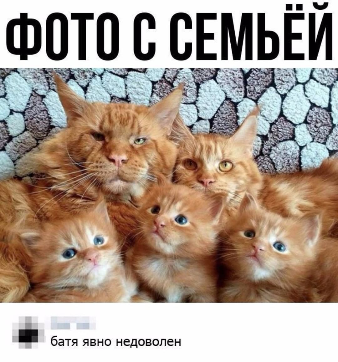Семейное фото