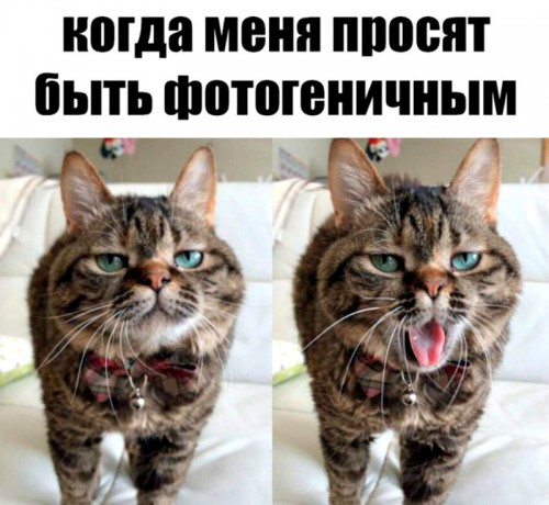 фотогеничен))))) фотогеничен)))))