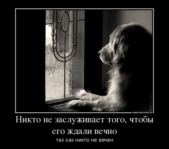 Ожидание
