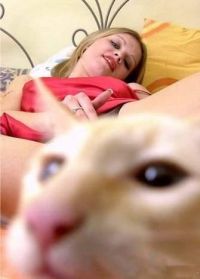 Кот на подработке