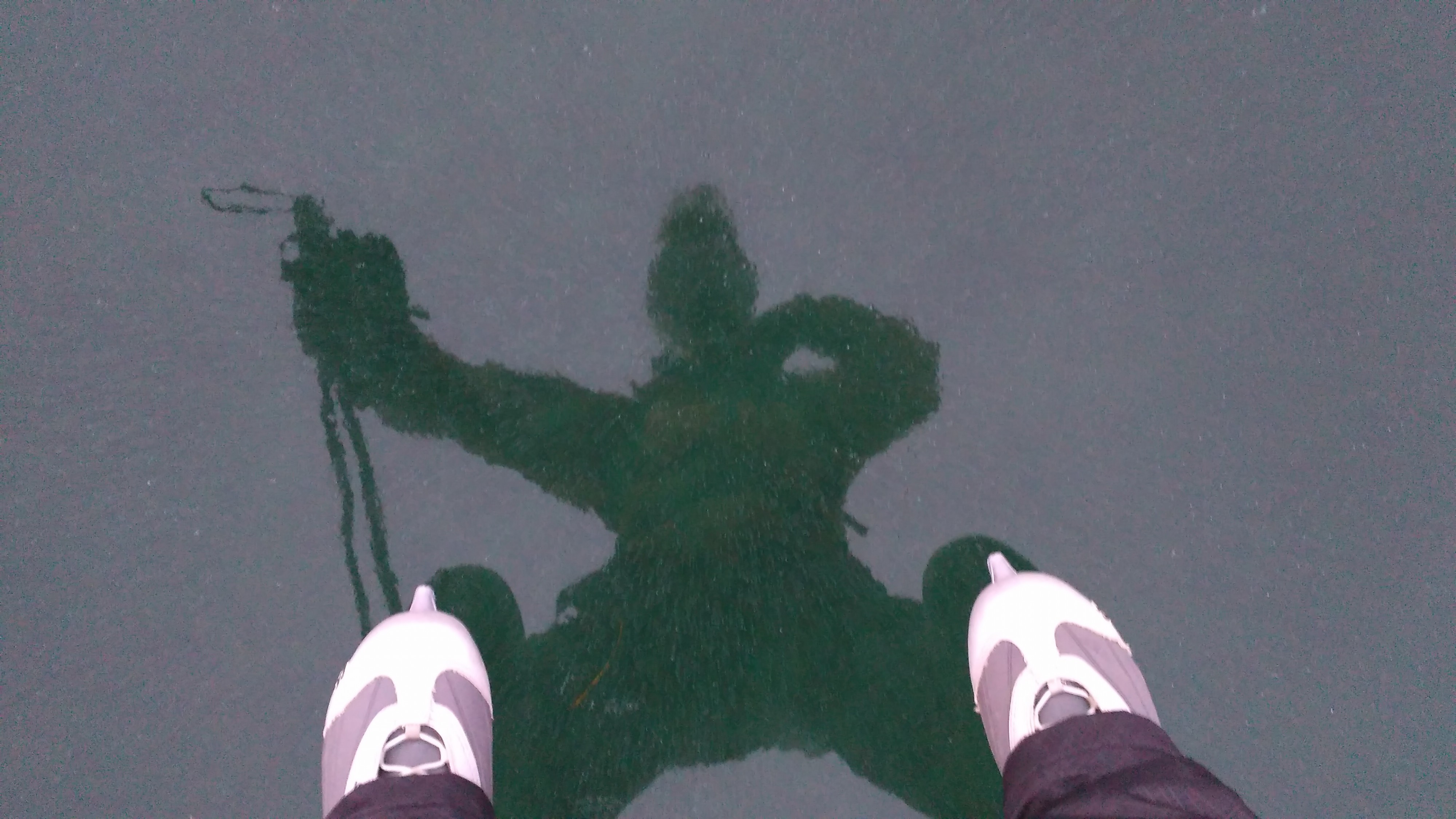 кто сидит в пруду?