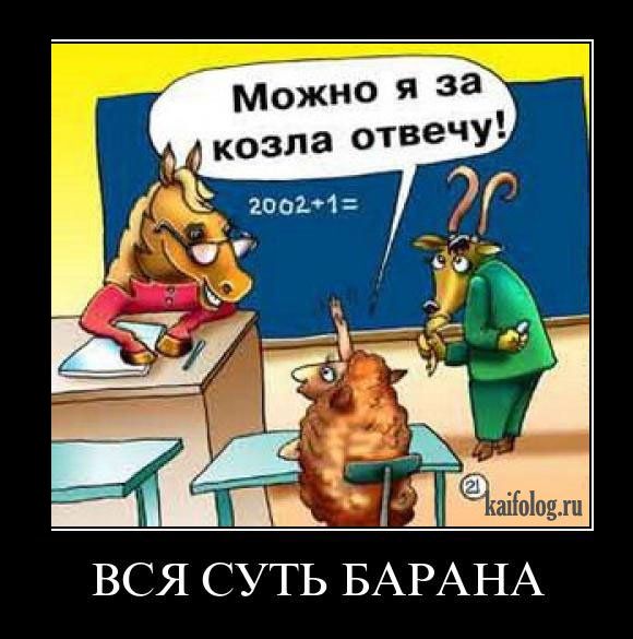 Вся суть барана