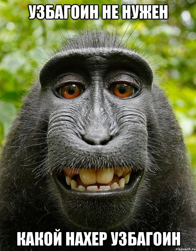 узбагоин не нужен)))))