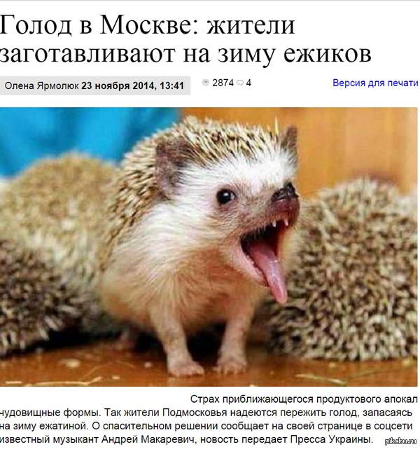 голод в мацкве