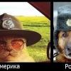 а вот еще одни))