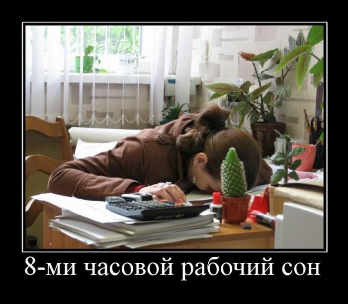 8 часовой сон