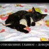 Доверие в отношениях Доверие в отношениях