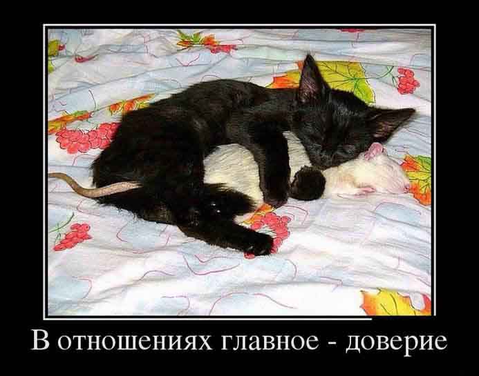 Доверие в отношениях