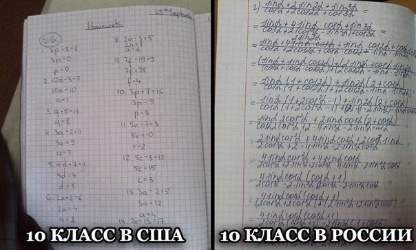 Без названия