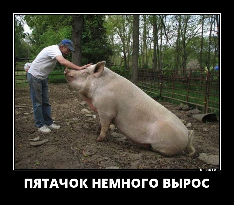 Пятачок