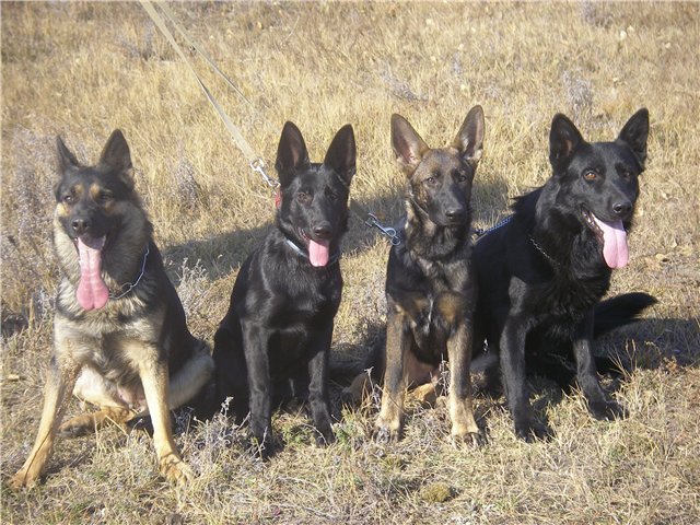 PC190090меньше