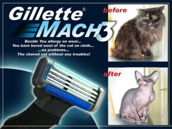 Gillette