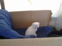 27102010059.jpg