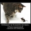 Победитель